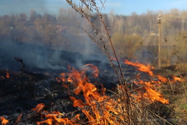 Операция АНТИПАЛ началась Операция АНТИПАЛ началась